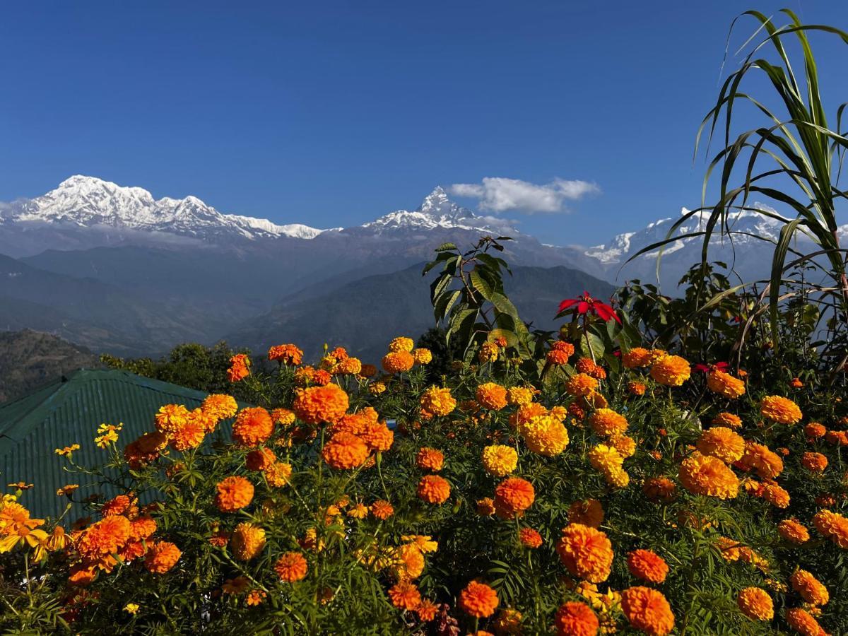 Es Deurali Resort Pokhara Buitenkant foto