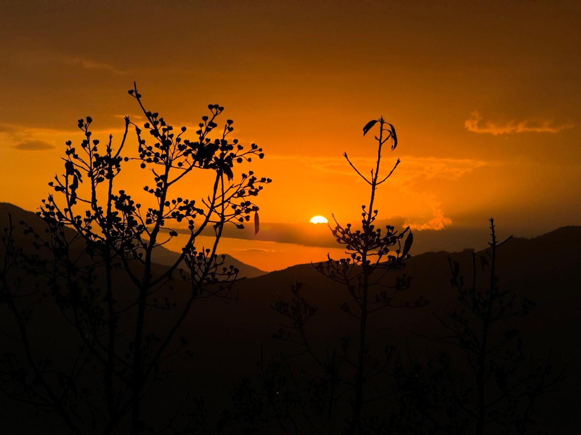 Es Deurali Resort Pokhara Buitenkant foto